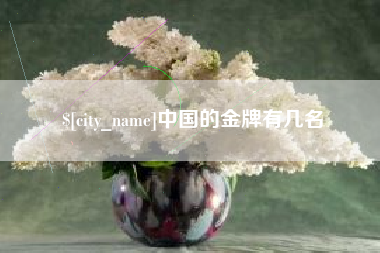 大理中国的金牌有几名