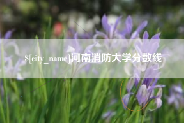 大理河南消防大学分数线