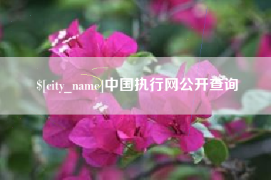 大理中国执行网公开查询
