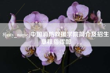 大理中国消防救援学院简介及招生章程指挥部