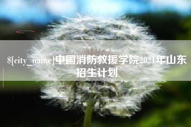 大理中国消防救援学院2021年山东招生计划