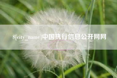 大理中国执行信息公开网网
