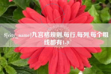 大理九宫格规则,每行,每列,每个粗线都有1-9
