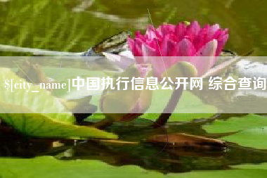 大理中国执行信息公开网 综合查询