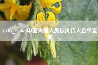 大理中国失信人员被执行人名单查询
