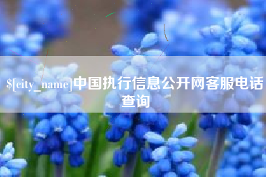 大理中国执行信息公开网客服电话查询