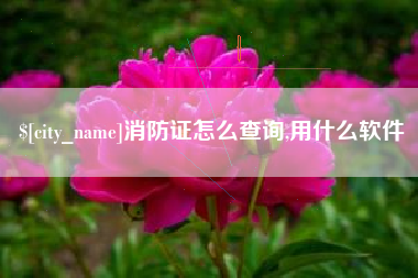 大理消防证怎么查询,用什么软件