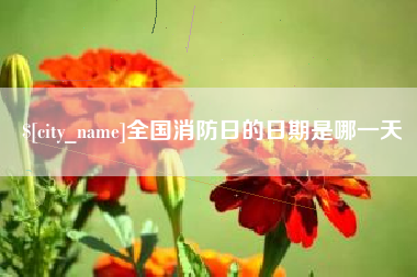 大理全国消防日的日期是哪一天