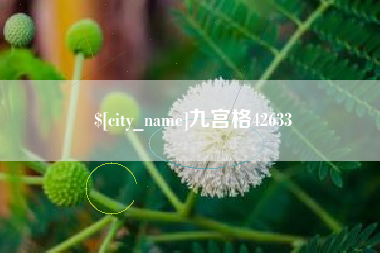 大理九宫格42633