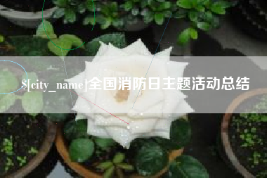 大理全国消防日主题活动总结