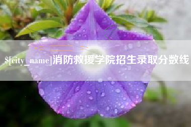 大理消防救援学院招生录取分数线