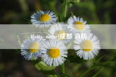 大理成都 消防
