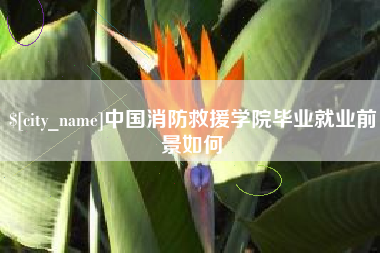 大理中国消防救援学院毕业就业前景如何