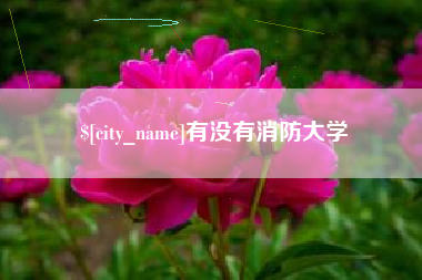 大理有没有消防大学