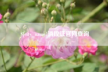大理消控证官网查询