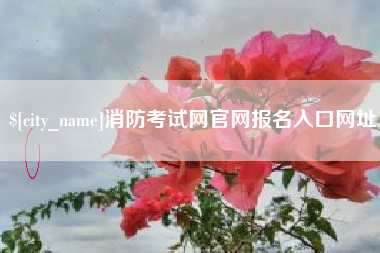 大理消防考试网官网报名入口网址