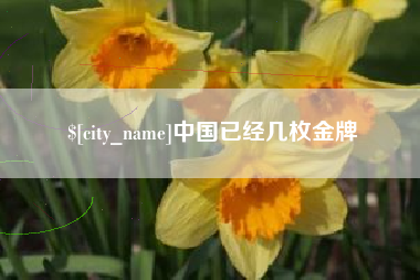 大理中国已经几枚金牌