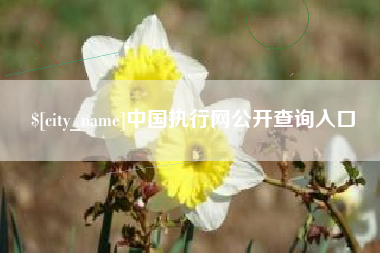 大理中国执行网公开查询入口