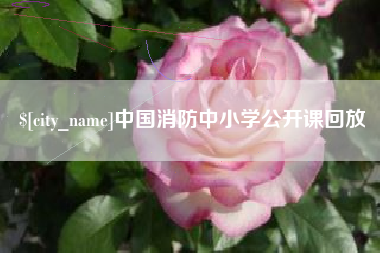 大理中国消防中小学公开课回放