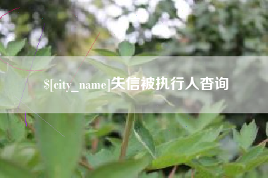 大理失信被执行人杳询