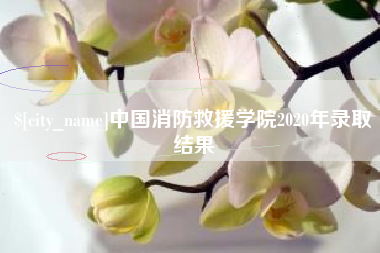 大理中国消防救援学院2020年录取结果