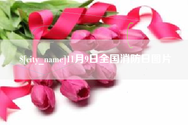 大理11月9日全国消防日图片
