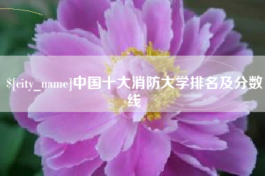 大理中国十大消防大学排名及分数线