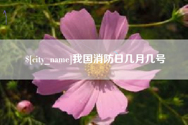 大理我国消防日几月几号