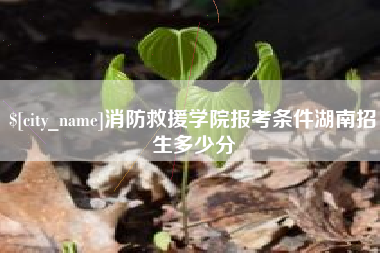 大理消防救援学院报考条件湖南招生多少分