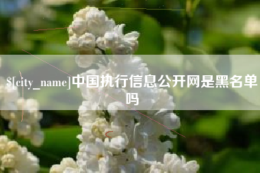 大理中国执行信息公开网是黑名单吗
