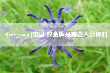 大理中国6枚金牌是哪些人获得的