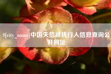 大理中国失信被执行人信息查询公开网址