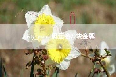 大理奥运会39块金牌