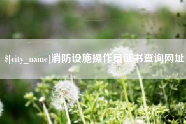 大理消防设施操作员证书查询网址