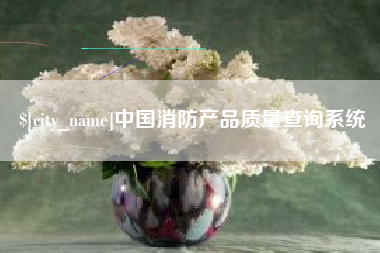 大理中国消防产品质量查询系统