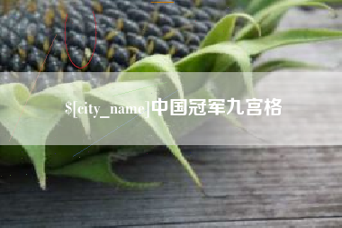 大理中国冠军九宫格