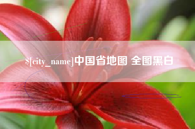 大理中国省地图 全图黑白