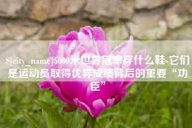 大理5000米世界冠军穿什么鞋-它们是运动员取得优异成绩背后的重要“功臣”