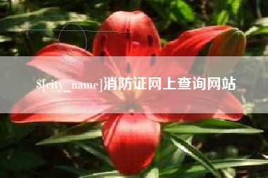 大理消防证网上查询网站