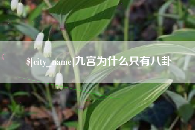 大理九宫为什么只有八卦