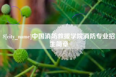 大理中国消防救援学院消防专业招生简章