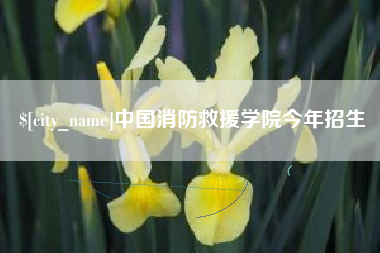 大理中国消防救援学院今年招生
