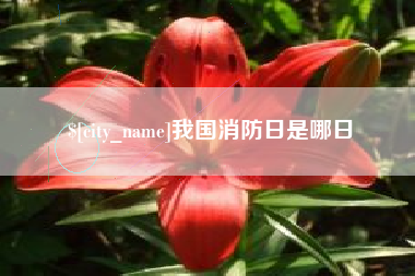 大理我国消防日是哪日
