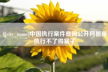 大理中国执行案件查询公开网都是执行不了得案子