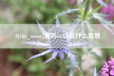 大理消防ccc认证什么意思