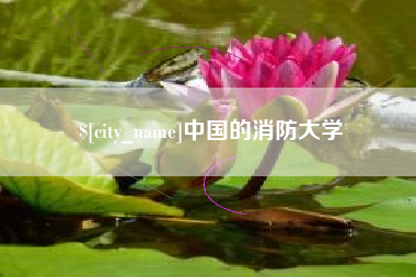 大理中国的消防大学
