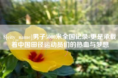 大理男子5000米全国记录-更是承载着中国田径运动员们的热血与梦想