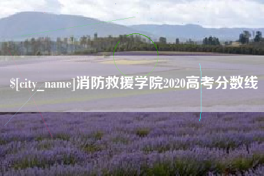 大理消防救援学院2020高考分数线