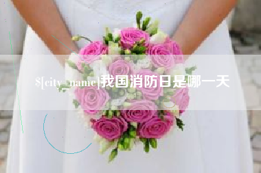 大理我国消防日是哪一天