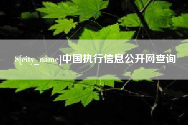 大理中国执行信息公开网查询